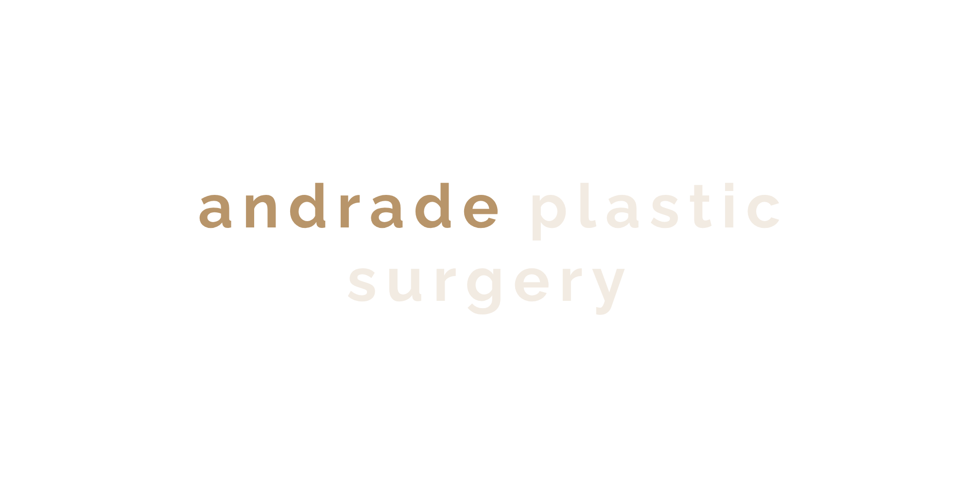 andrade logo transparent landscape
